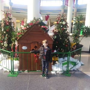 Profile Picture of jancie chandler (@janciechandler) on Tiktok