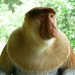 Profile Picture of Michael Ratzmann (@ratzmannmichael) on Instagram