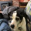 Profile Picture of Brian Plath (@@brianplath) on Tiktok