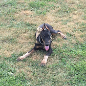 Profile Picture of Chris Beaudry (@cwbironworker) on Youtube