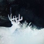 Profile Picture of Justin Tweedy (@justin_tweedy15) on Instagram