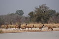 Profile Picture of Atakora Riveron Wikipedia