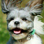 Profile Picture of Jason Seagraves (@jasenpai_backup) on Instagram