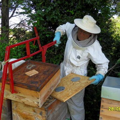 Profile Picture of Ken Peek (@apibeeman) on Twitter