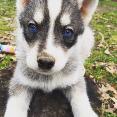 Profile Picture of Jacob Budd (@buddman2014) on Twitter