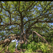 Profile Picture of Lisa Haderlein (@ConserveMcHenryCo) on Youtube