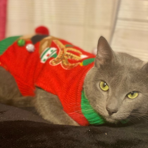 Profile Picture of Ruth Matute (@mruth0770) on Poshmark