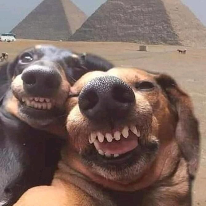 Profile Picture of LucTrudel (@nh1s93119a1) on Tiktok