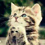 Profile Picture of cindy rosales (@cindydallas44) on Instagram