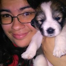 Profile Picture of Yvette Webb (@yvette_webb) on Twitter