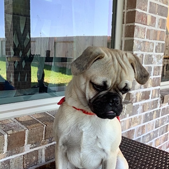 Profile Picture of James Leoni iii (@kinberlyann) on Poshmark