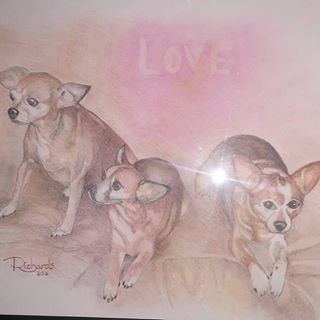 Profile Picture of Kenneth Friedle (@kenneth.friedle.7) on Facebook