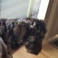 Profile Picture of Mckenzie Erickson (@mckenzie-erickson-2) on Quora