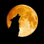 Profile Picture of Wayne The Wolf (@@waynewofford) on Tiktok