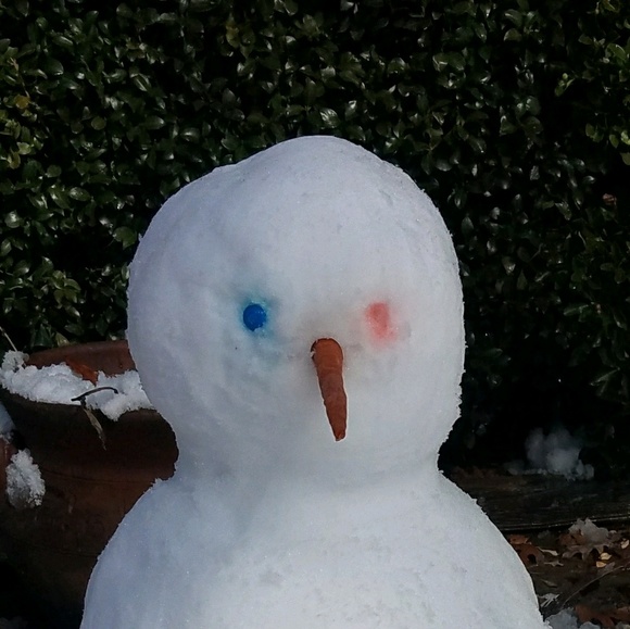 Profile Picture of Leonard Hernandez (@leochips) on Poshmark