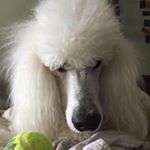 Profile Picture of Paula Barker (@paulafinn2) on Instagram