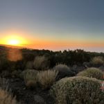 Profile Picture of Jess Casey (@jess_15_casey) on Instagram