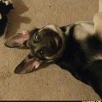 Profile Picture of Derek M (@derekmerrill2000) on Instagram