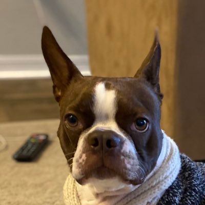 Profile Picture of Morgan Bracken (@morganbracken1) on Twitter