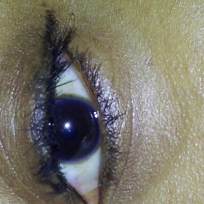 Profile Picture of Rosa Quintero (@rosaquintero611) on Twitter