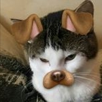 Profile Picture of Shelly Dunham-Bruns (@michele.reading) on Instagram