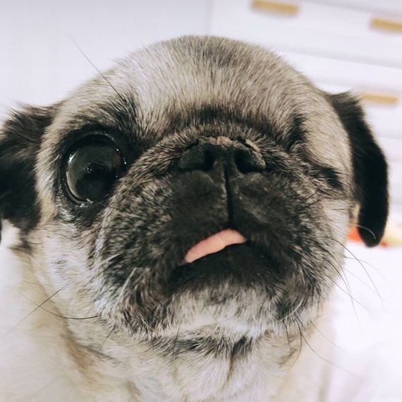 Profile Picture of Fiona Blois (@fiona_blois) on Poshmark