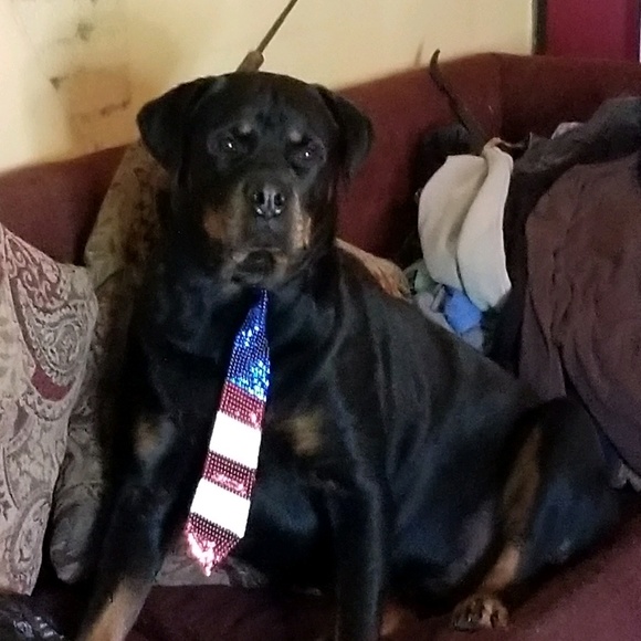 Profile Picture of Michelle Capodanno (@capodanno) on Poshmark