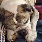 Profile Picture of Clint Sears (@clint.sears.5) on Facebook