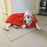 Profile Picture of Jacqueline Cirillo Meisenberg (@jaxycm) on Instagram