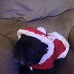 Profile Picture of Wayne (@wayne_lesperance) on Instagram