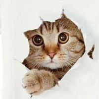 Profile Picture of Kyle Rauch (@kyle-rauch-2) on Quora