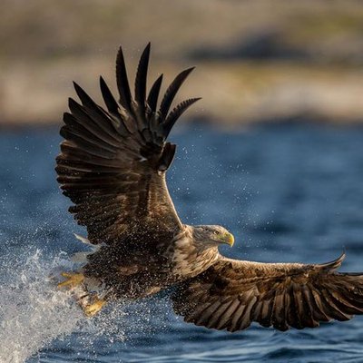 Profile Picture of The Knight (@Nora66The) on Twitter