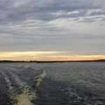 Profile Picture of Daniel Di Crocco (@danieldicrocco) on Instagram