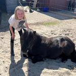 Profile Picture of Roxanne Cornelis (@roxannie_pannie) on Instagram