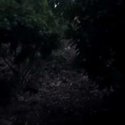 Profile Picture of Josh Ramey (@tstainback) on Youtube
