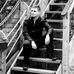 Profile Picture of Martin Gábor (@martin.gabor.73) on Facebook