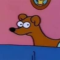 Profile Picture of Tamara Krause (@TamaraK30398550) on Twitter