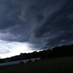 Profile Picture of Cody William Driskell (@coldwolf2003) on Instagram