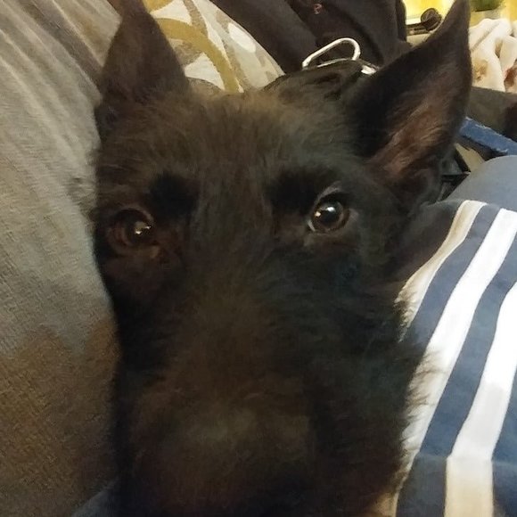 Profile Picture of Clint White (@cjw22120) on Poshmark