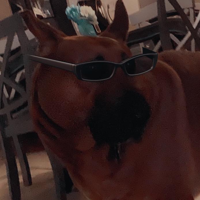 Profile Picture of user288412618195 (@nathangreenthegoat) on Tiktok