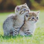 Profile Picture of Ellis Martin (@ellis_martin_jennings_wright) on Instagram