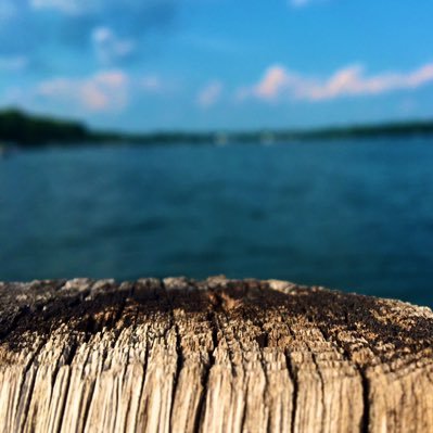 Profile Picture of Ben Buser (@BuserBen) on Twitter