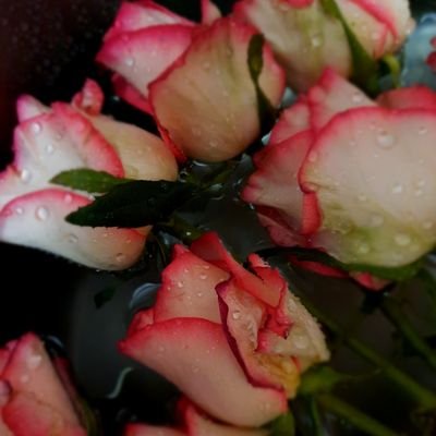 Varduhi Grigoryan - Twitter Profile Picture of Varduhi Grigoryan (@VarduhiGrigor12) on Twitter