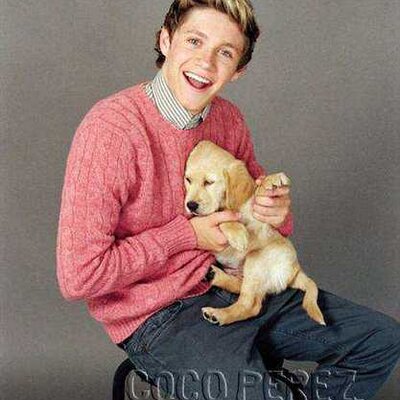 Profile Picture of TJ (@TorrieMaryJones) on Twitter