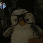 Ray Latimer - Instagram Profile Picture of Ray Latimer (@raylikesmtncreek) on Instagram