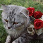 Profile Picture of منى الموسى ' (@mona__almousa) on Instagram