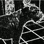 Profile Picture of Graham Chamberlain (@grahamc19) on Instagram