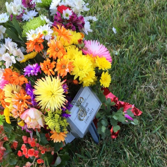 Scotland David - Poshmark Profile Picture of Scotland David (@scottyd) on Poshmark