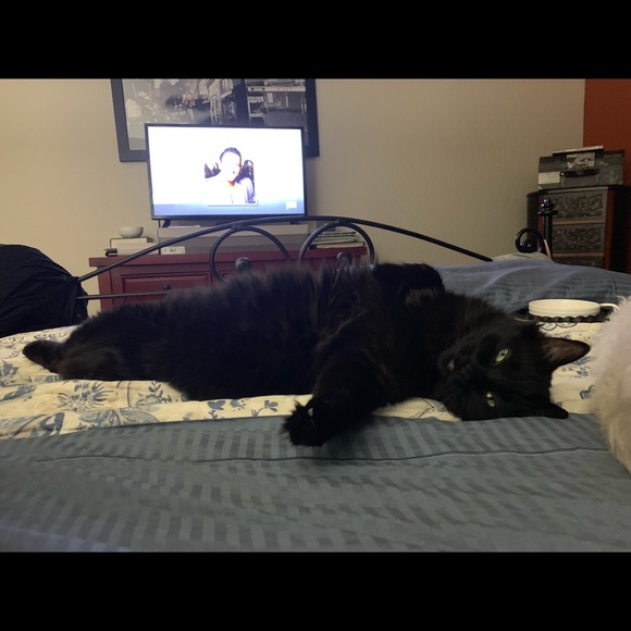 Profile Picture of Mary Rigler (@bmrigler) on Poshmark