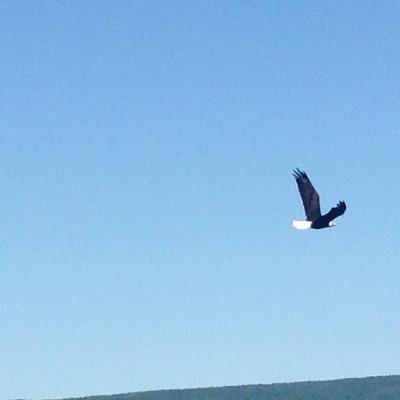 Profile Picture of Heather MacDougall (@Heather1675) on Twitter